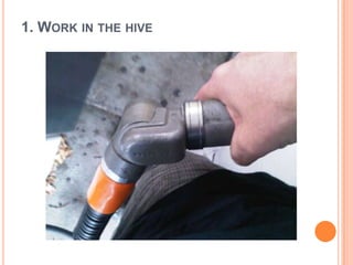 1. Work in the hive