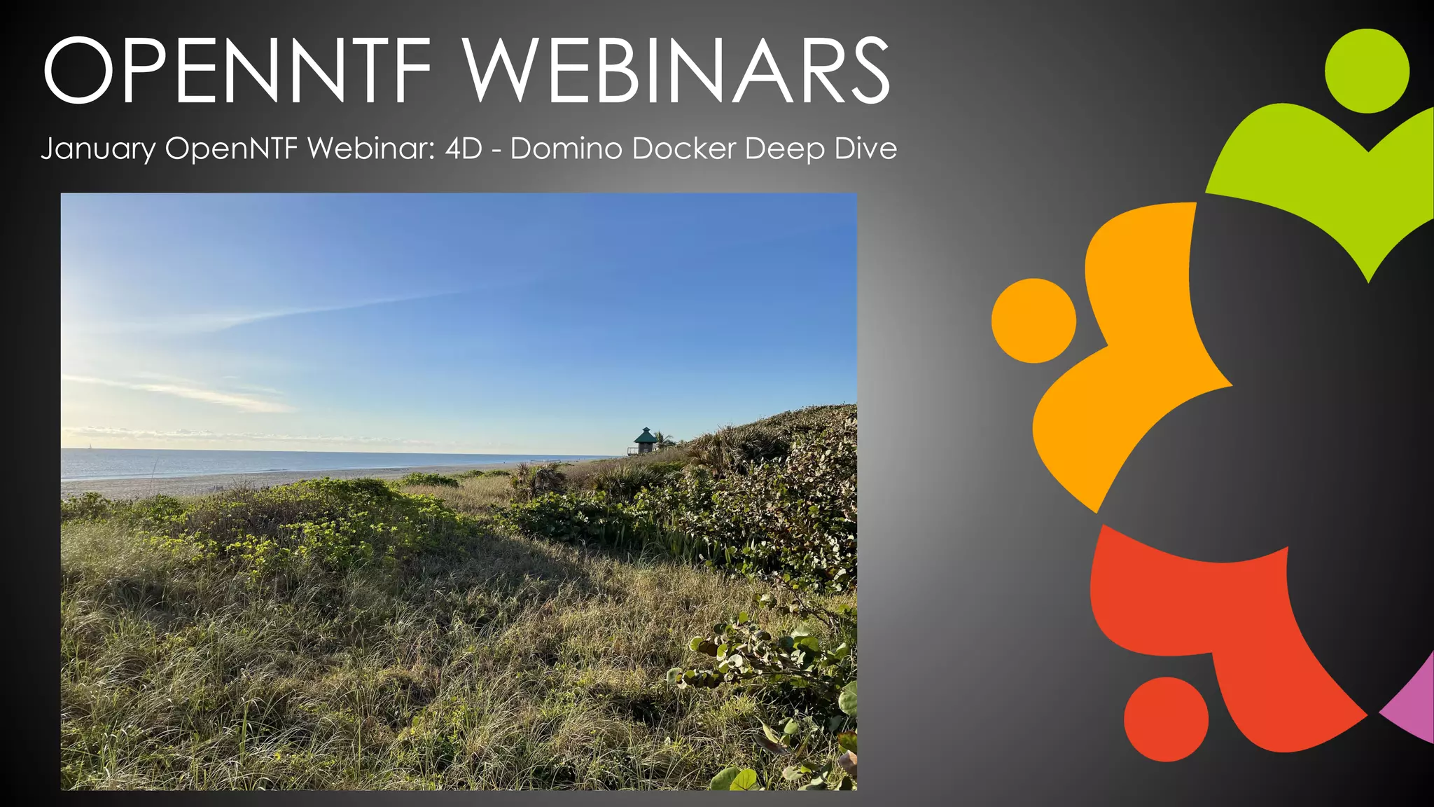 OPENNTF WEBINARS
January OpenNTF Webinar: 4D - Domino Docker Deep Dive
 