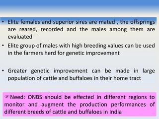 • Elite females and superior sires are mated , the offsprings
are reared, recorded and the males among them are
evaluated
• Elite group of males with high breeding values can be used
in the farmers herd for genetic improvement
• Greater genetic improvement can be made in large
population of cattle and buffaloes in their home tract
Need: ONBS should be effected in different regions to
monitor and augment the production performances of
different breeds of cattle and buffaloes in India
 