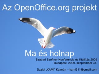 Az OpenOffice.org projekt




     Ma és holnap
        Szabad Szoftver Konferencia és Kiállítás 2009
                    Budapest, 2009. szeptember 31.

         Szalai „KAMI” Kálmán – kami911@gmail.com
 