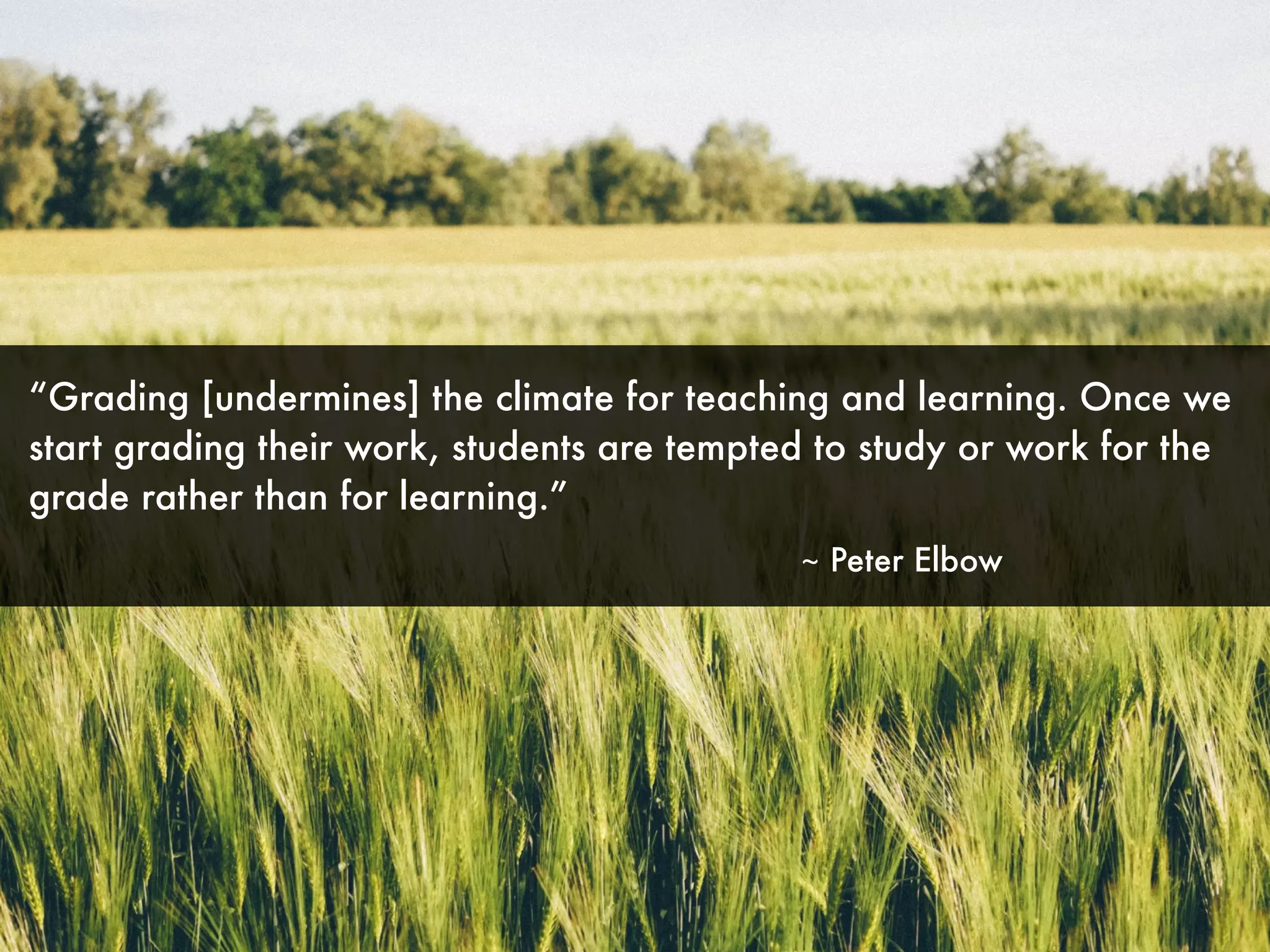 “Grading [undermines] the climate for teaching and learning. Once we
start grading their work, students are tempted to study or work for the
grade rather than for learning.”
~ Peter Elbow
 