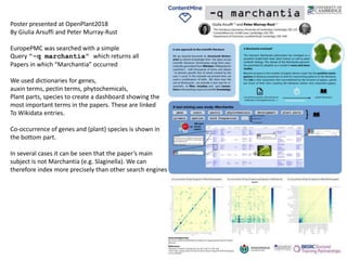 Poster presented at OpenPlant2018
By Giulia Arsuffi and Peter Murray-Rust
EuropePMC was searched with a simple
Query “-q marchantia” which returns all
Papers in which “Marchantia” occurred
We used dictionaries for genes,
auxin terms, pectin terms, phytochemicals,
Plant parts, species to create a dashboard showing the
most important terms in the papers. These are linked
To Wikidata entries.
Co-occurrence of genes and (plant) species is shown in
the bottom part.
In several cases it can be seen that the paper’s main
subject is not Marchantia (e.g. Slaginella). We can
therefore index more precisely than other search engines
 