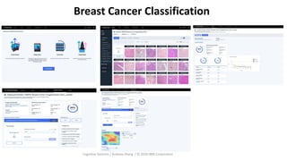 Breast Cancer Classification
Cognitive Systems / Andrew Zhang / © 2020 IBM Corporation
 