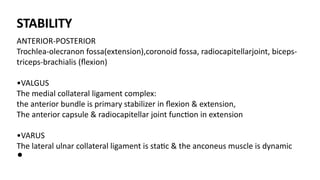 STABILITY
ANTERIOR-POSTERIOR
Trochlea-olecranon fossa(extension),coronoid fossa, radiocapitellarjoint, biceps-
triceps-brachialis (ﬂexion)
•VALGUS
The medial collateral ligament complex:
the anterior bundle is primary stabilizer in ﬂexion & extension,
The anterior capsule & radiocapitellar joint func)on in extension
•VARUS
The lateral ulnar collateral ligament is sta)c & the anconeus muscle is dynamic
•
 