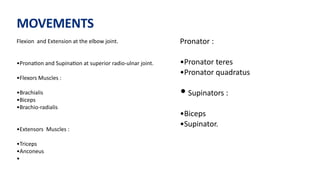 MOVEMENTS
Flexion and Extension at the elbow joint.
•Prona)on and Supina)on at superior radio-ulnar joint.
•Flexors Muscles :
•Brachialis
•Biceps
•Brachio-radialis
•Extensors Muscles :
•Triceps
•Anconeus
•
Pronator :
•Pronator teres
•Pronator quadratus
• Supinators :
•Biceps
•Supinator.
 