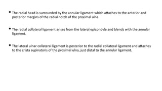 • The radial head is surrounded by the annular ligament which aQaches to the anterior and
posterior margins of the radial notch of the proximal ulna.
• The radial collateral ligament arises from the lateral epicondyle and blends with the annular
ligament.
• The lateral ulnar collateral ligament is posterior to the radial collateral ligament and aQaches
to the crista supinatoris of the proximal ulna, just distal to the annular ligament.
 