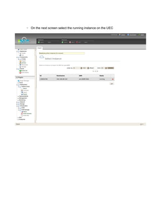 ◦ On the next screen select the running instance on the UEC
 