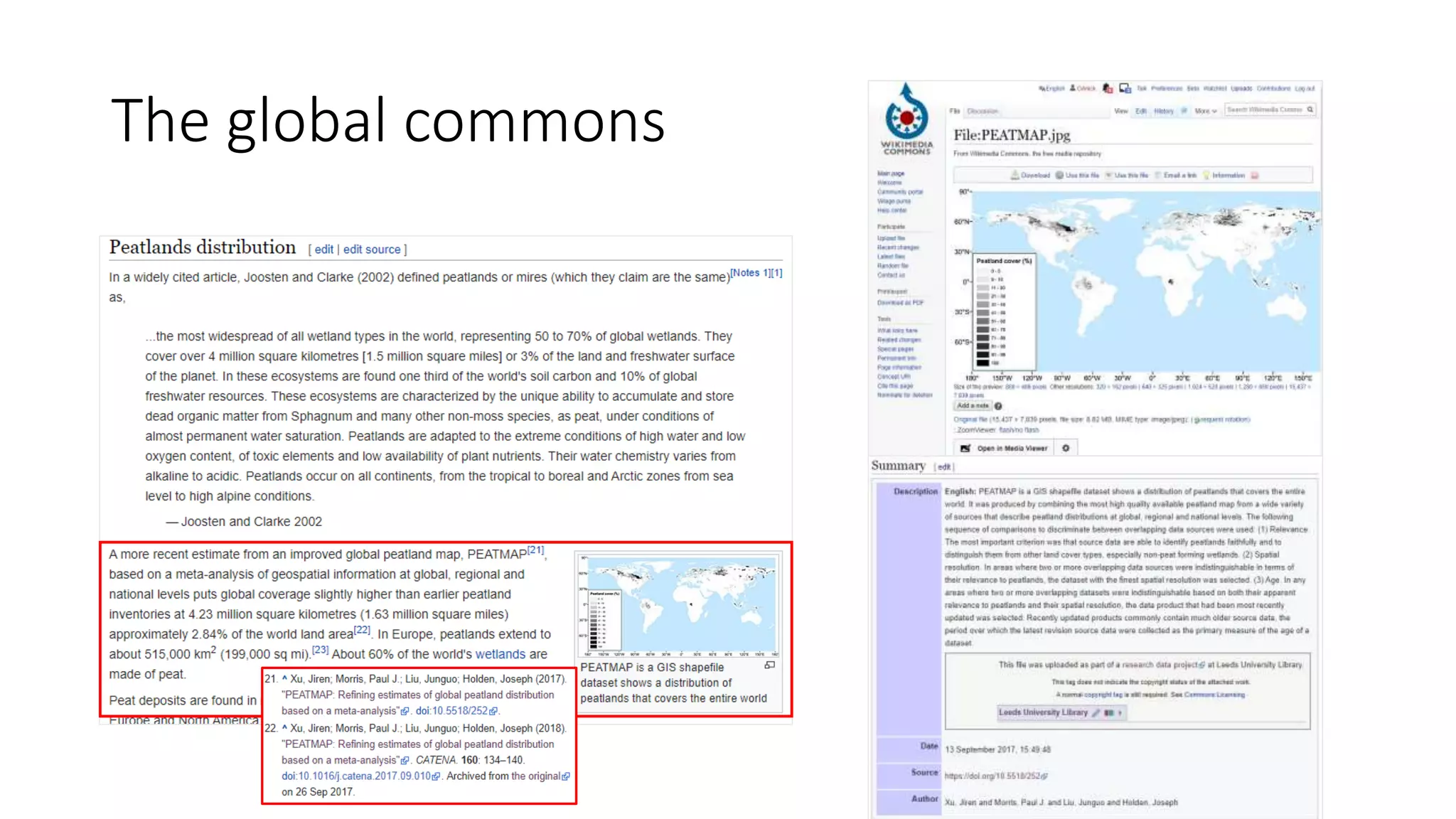 The global commons
 