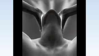 O PENSAMENTO E A CÉLULA