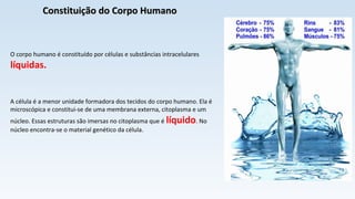 Constituição do Corpo HumanoConstituição do Corpo Humano
O corpo humano é constituído por células e substâncias intracelulares
líquidas.
A célula é a menor unidade formadora dos tecidos do corpo humano. Ela é
microscópica e constitui-se de uma membrana externa, citoplasma e um
núcleo. Essas estruturas são imersas no citoplasma que é líquido. No
núcleo encontra-se o material genético da célula.
 