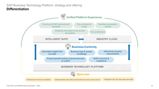 SAP Business Technology Platform in a Nutshell | PDF