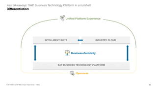 SAP Business Technology Platform in a Nutshell | PDF