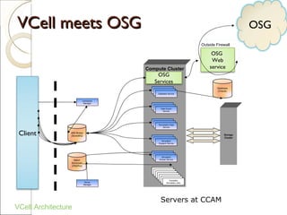Vcell Software Open Science Grid For Virtual Cell | PPT