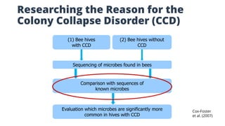 Researching the Reason for the
Colony Collapse Disorder (CCD)
(1) Bee hives
with CCD
(2) Bee hives without
CCD
Sequencing of microbes found in bees
Comparison with sequences of
known microbes
Evaluation which microbes are significantly more
common in hives with CCD
Cox-Foster
et al. (2007)
 