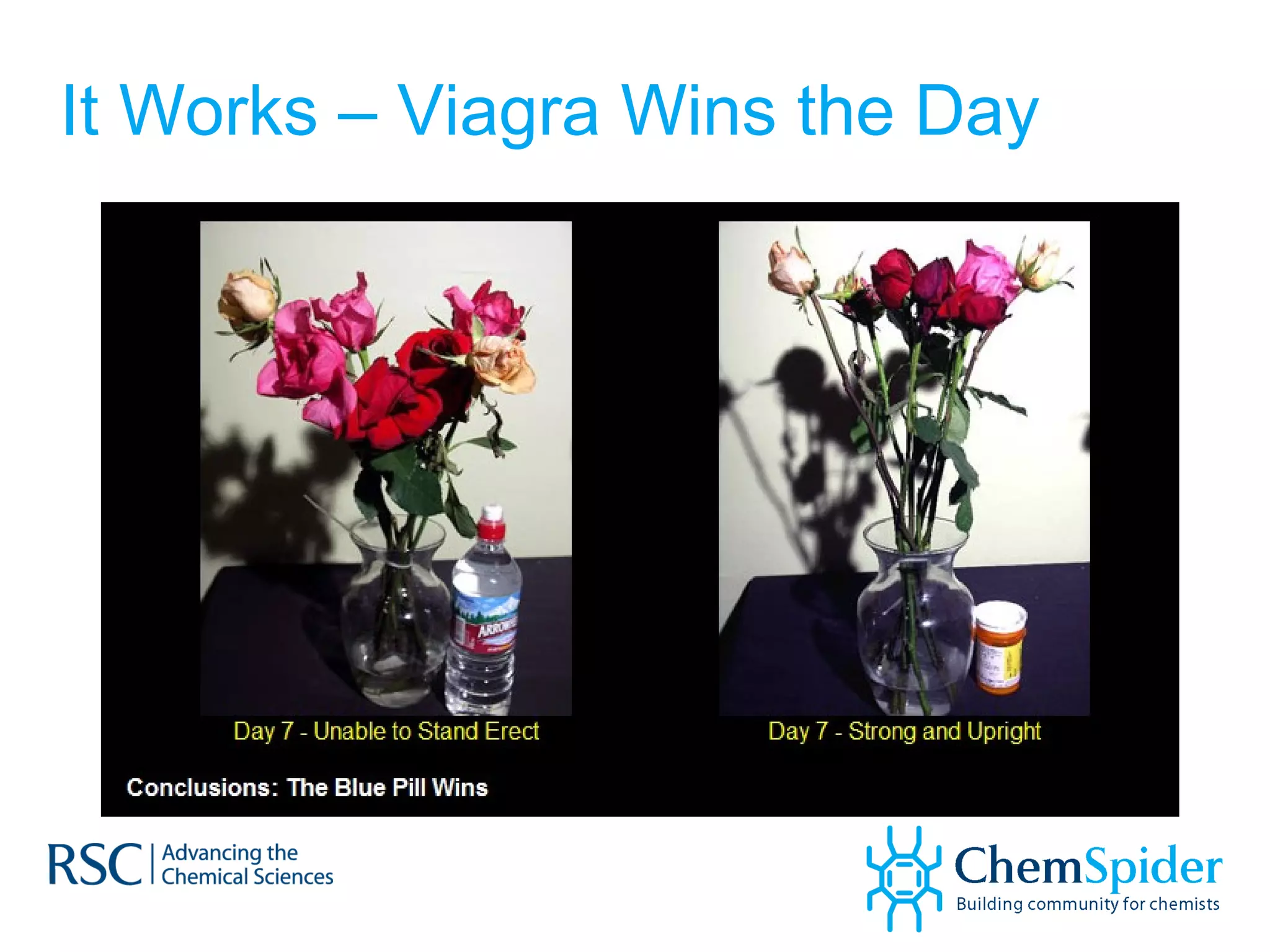 It Works – Viagra Wins the Day 