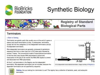 Synthetic Biology
 