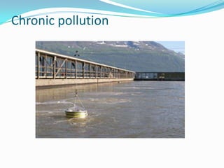 Chronic pollution
 