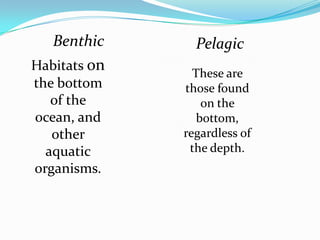 Benthic       Pelagic
Habitats on
                These are
the bottom    those found
   of the         on the
ocean, and       bottom,
   other      regardless of
  aquatic      the depth.
organisms.
 