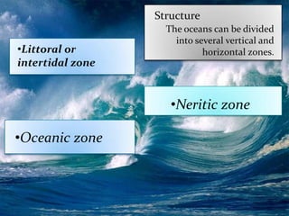 Structure
                    The oceans can be divided
                      into several vertical and
•Littoral or                 horizontal zones.
intertidal zone


                     •Neritic zone

•Oceanic zone
 