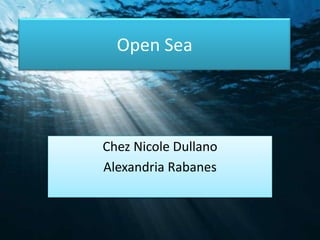Open Sea




Chez Nicole Dullano
Alexandria Rabanes
 