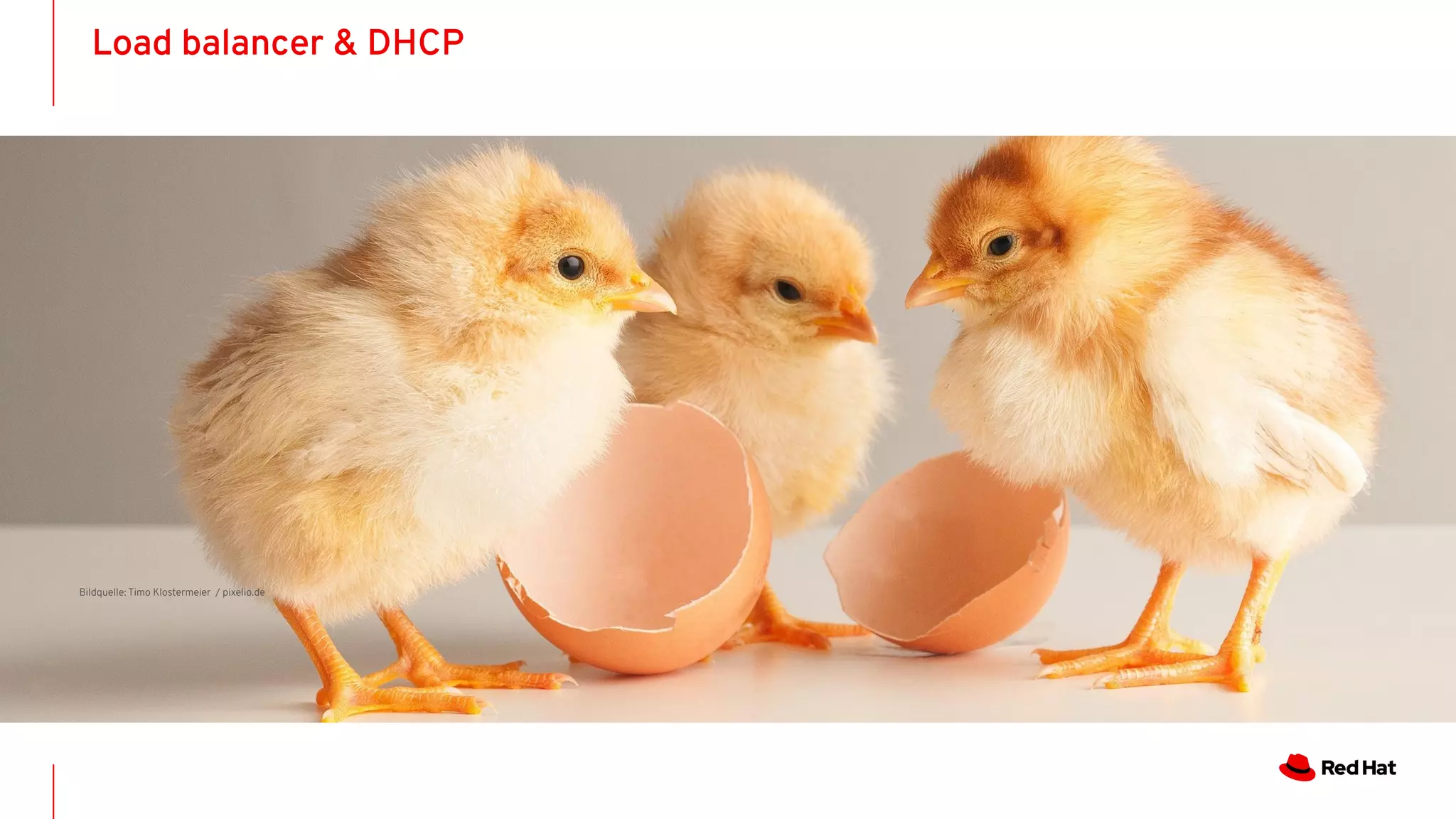 Load balancer & DHCP
30
Bildquelle: Timo Klostermeier / pixelio.de
 