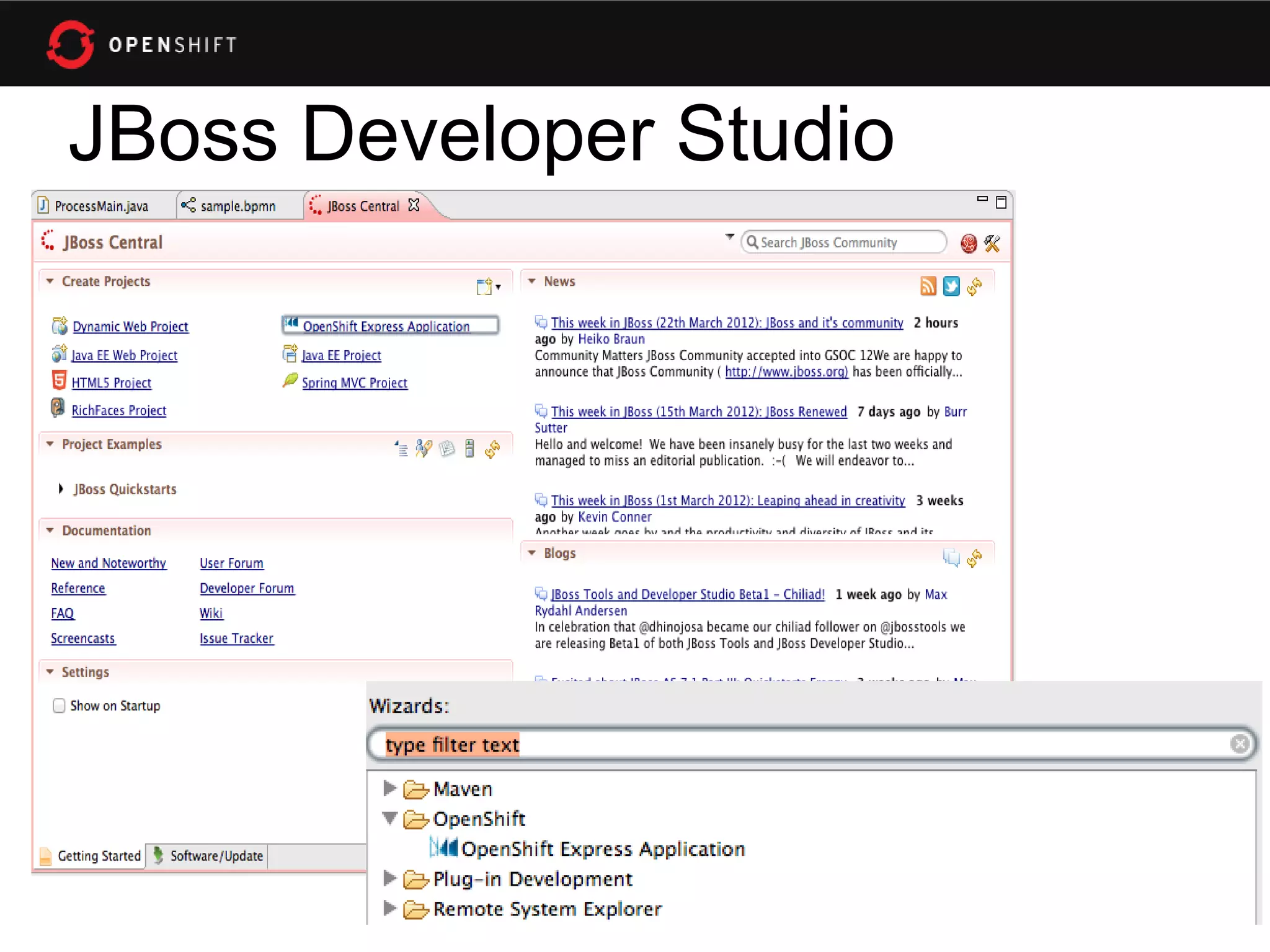 JBoss Developer Studio
 