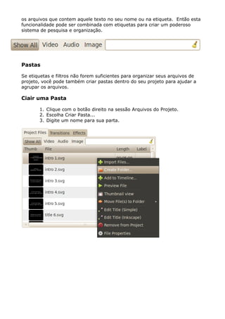 os arquivos que contem aquele texto no seu nome ou na etiqueta. Então esta
funcionalidade pode ser combinada com etiquetas para criar um poderoso
sistema de pesquisa e organização.
Pastas
Se etiquetas e filtros não forem suficientes para organizar seus arquivos de
projeto, você pode também criar pastas dentro do seu projeto para ajudar a
agrupar os arquivos.
Ciair uma Pasta
1. Clique com o botão direito na sessão Arquivos do Projeto.
2. Escolha Criar Pasta...
3. Digite um nome para sua parta.
 