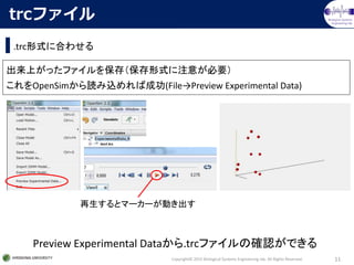 api: opensim::experimentalsensor class reference... OpenSim の 使い方 (IK 編) | PPTX