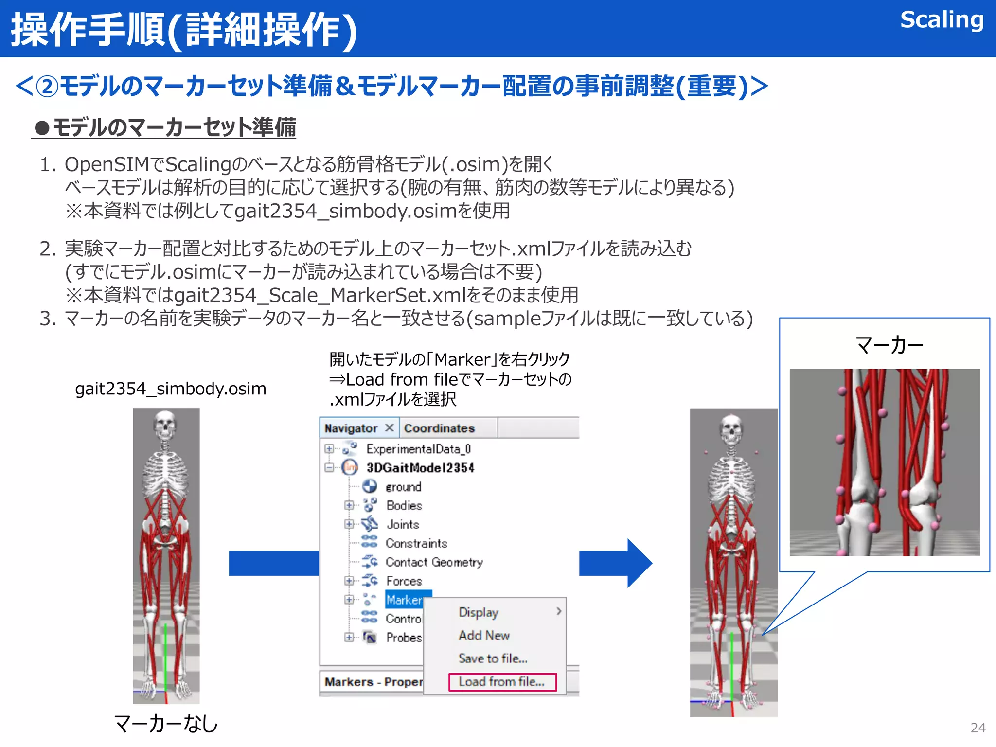 OpenSIM 筋骨格シミュレーション 基本の解析マニュアル | PDF
