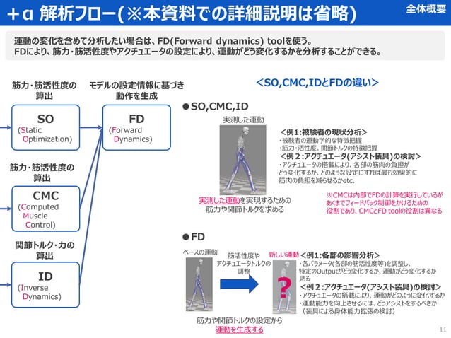 OpenSIM 筋骨格シミュレーション 基本の解析マニュアル | PDF