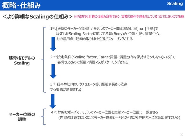 OpenSIM 筋骨格シミュレーション 基本の解析マニュアル | PDF