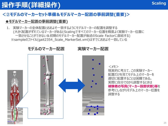 OpenSIM 筋骨格シミュレーション 基本の解析マニュアル | PDF