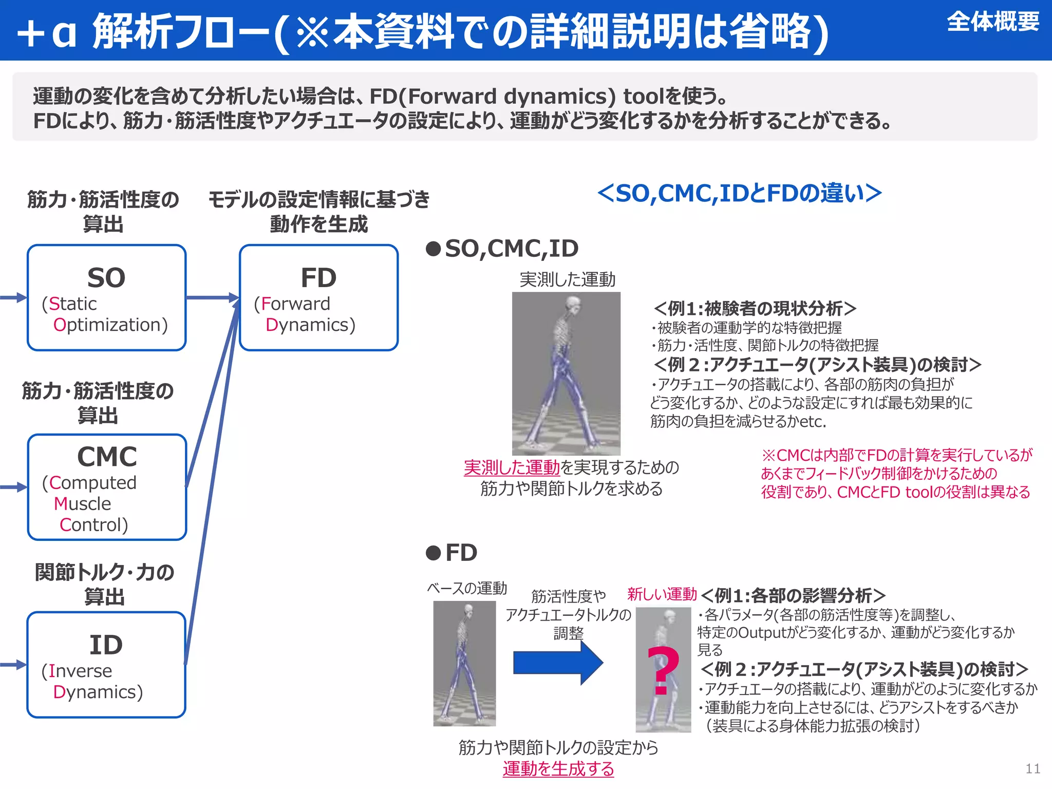 ＋α 解析フロー(※本資料での詳細説明は省略)
運動の変化を含めて分析したい場合は、FD(Forward dynamics) toolを使う。
FDにより、筋力・筋活性度やアクチュエータの設定により、運動がどう変化するかを分析することができる。
CMC
(Computed
Muscle
Control)
SO
(Static
Optimization)
ID
(Inverse
Dynamics)
筋力・筋活性度の
算出
筋力・筋活性度の
算出
関節トルク・力の
算出
FD
(Forward
Dynamics)
モデルの設定情報に基づき
動作を生成
＜SO,CMC,IDとFDの違い＞
●SO,CMC,ID
実測した運動
実測した運動を実現するための
筋力や関節トルクを求める
＜例1:被験者の現状分析＞
・被験者の運動学的な特徴把握
・筋力・活性度、関節トルクの特徴把握
＜例２:アクチュエータ(アシスト装具)の検討＞
・アクチュエータの搭載により、各部の筋肉の負担が
どう変化するか、どのような設定にすれば最も効果的に
筋肉の負担を減らせるかetc.
●FD
筋力や関節トルクの設定から
運動を生成する
ベースの運動
筋活性度や
アクチュエータトルクの
調整
※CMCは内部でFDの計算を実行しているが
あくまでフィードバック制御をかけるための
役割であり、CMCとFD toolの役割は異なる
？
新しい運動＜例1:各部の影響分析＞
・各パラメータ(各部の筋活性度等)を調整し、
特定のOutputがどう変化するか、運動がどう変化するか
見る
＜例２:アクチュエータ(アシスト装具)の検討＞
・アクチュエータの搭載により、運動がどのように変化するか
・運動能力を向上させるには、どうアシストをするべきか
（装具による身体能力拡張の検討）
全体概要
11
 