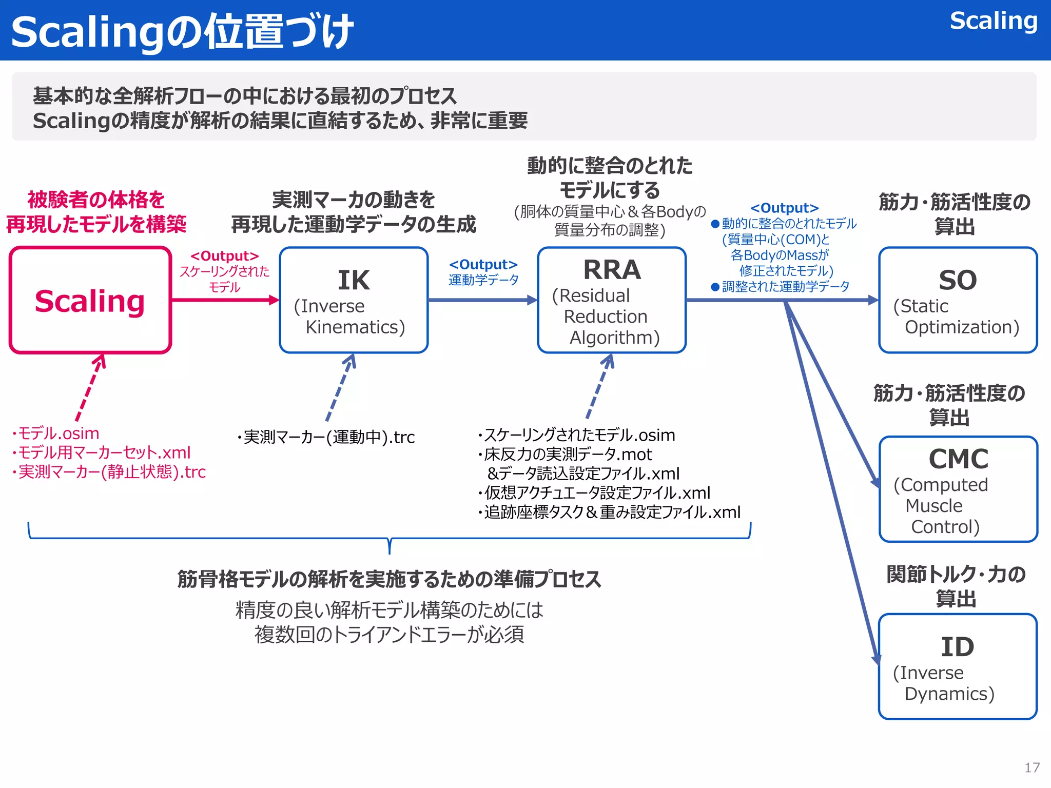 Scalingの位置づけ Scaling
Scaling
IK
(Inverse
Kinematics)
RRA
(Residual
Reduction
Algorithm)
CMC
(Computed
Muscle
Control)
SO
(Static
Optimization)
ID
(Inverse
Dynamics)
被験者の体格を
再現したモデルを構築
実測マーカの動きを
再現した運動学データの生成
<Output>
スケーリングされた
モデル
<Output>
運動学データ
<Output>
●動的に整合のとれたモデル
(質量中心(COM)と
各BodyのMassが
修正されたモデル)
●調整された運動学データ
動的に整合のとれた
モデルにする
(胴体の質量中心＆各Bodyの
質量分布の調整)
筋力・筋活性度の
算出
筋力・筋活性度の
算出
関節トルク・力の
算出
基本的な全解析フローの中における最初のプロセス
Scalingの精度が解析の結果に直結するため、非常に重要
・モデル.osim
・モデル用マーカーセット.xml
・実測マーカー(静止状態).trc
・実測マーカー(運動中).trc
筋骨格モデルの解析を実施するための準備プロセス
精度の良い解析モデル構築のためには
複数回のトライアンドエラーが必須
・スケーリングされたモデル.osim
・床反力の実測データ.mot
&データ読込設定ファイル.xml
・仮想アクチュエータ設定ファイル.xml
・追跡座標タスク＆重み設定ファイル.xml
17
 