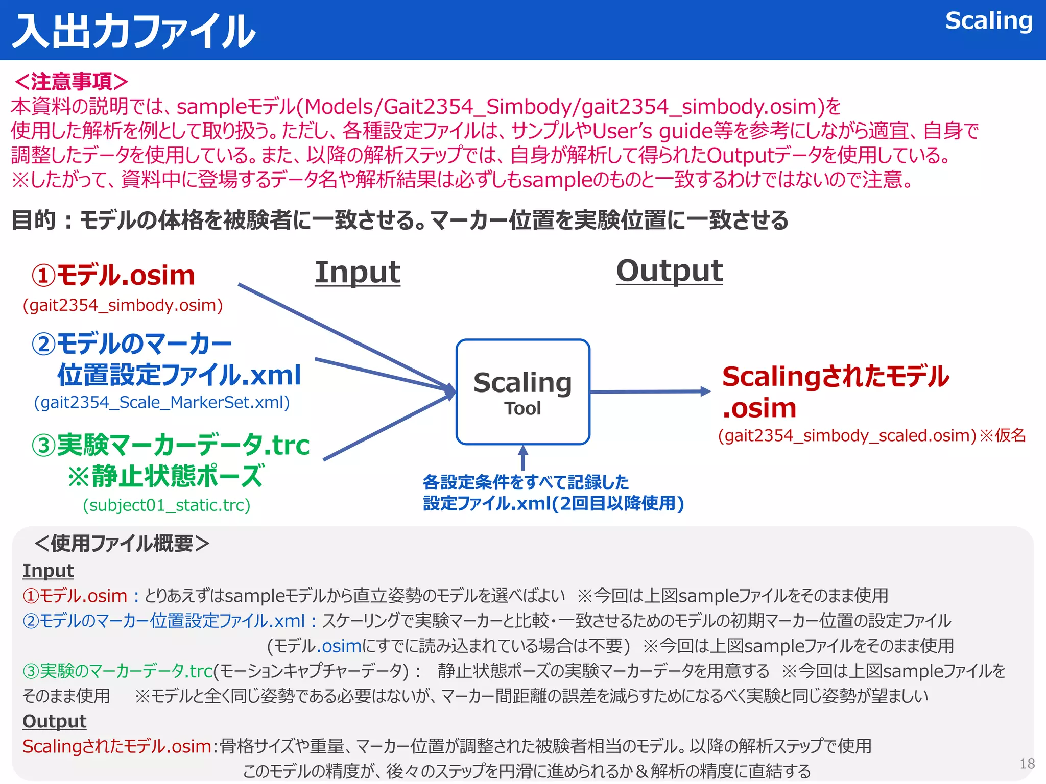入出力ファイル Scaling
Scaling
Tool
①モデル.osim
目的：モデルの体格を被験者に一致させる。マーカー位置を実験位置に一致させる
＜使用ファイル概要＞
Input
①モデル.osim：とりあえずはsampleモデルから直立姿勢のモデルを選べばよい ※今回は上図sampleファイルをそのまま使用
②モデルのマーカー位置設定ファイル.xml：スケーリングで実験マーカーと比較・一致させるためのモデルの初期マーカー位置の設定ファイル
(モデル.osimにすでに読み込まれている場合は不要) ※今回は上図sampleファイルをそのまま使用
③実験のマーカーデータ.trc(モーションキャプチャーデータ)： 静止状態ポーズの実験マーカーデータを用意する ※今回は上図sampleファイルを
そのまま使用 ※モデルと全く同じ姿勢である必要はないが、マーカー間距離の誤差を減らすためになるべく実験と同じ姿勢が望ましい
Output
Scalingされたモデル.osim:骨格サイズや重量、マーカー位置が調整された被験者相当のモデル。以降の解析ステップで使用
このモデルの精度が、後々のステップを円滑に進められるか＆解析の精度に直結する
②モデルのマーカー
位置設定ファイル.xml
③実験マーカーデータ.trc
※静止状態ポーズ
Input Output
Scalingされたモデル
.osim
＜注意事項＞
本資料の説明では、sampleモデル(Models/Gait2354_Simbody/gait2354_simbody.osim)を
使用した解析を例として取り扱う。ただし、各種設定ファイルは、サンプルやUser’s guide等を参考にしながら適宜、自身で
調整したデータを使用している。また、以降の解析ステップでは、自身が解析して得られたOutputデータを使用している。
※したがって、資料中に登場するデータ名や解析結果は必ずしもsampleのものと一致するわけではないので注意。
(gait2354_simbody.osim)
(gait2354_Scale_MarkerSet.xml)
(subject01_static.trc)
(gait2354_simbody_scaled.osim)
各設定条件をすべて記録した
設定ファイル.xml(2回目以降使用)
※仮名
18
 