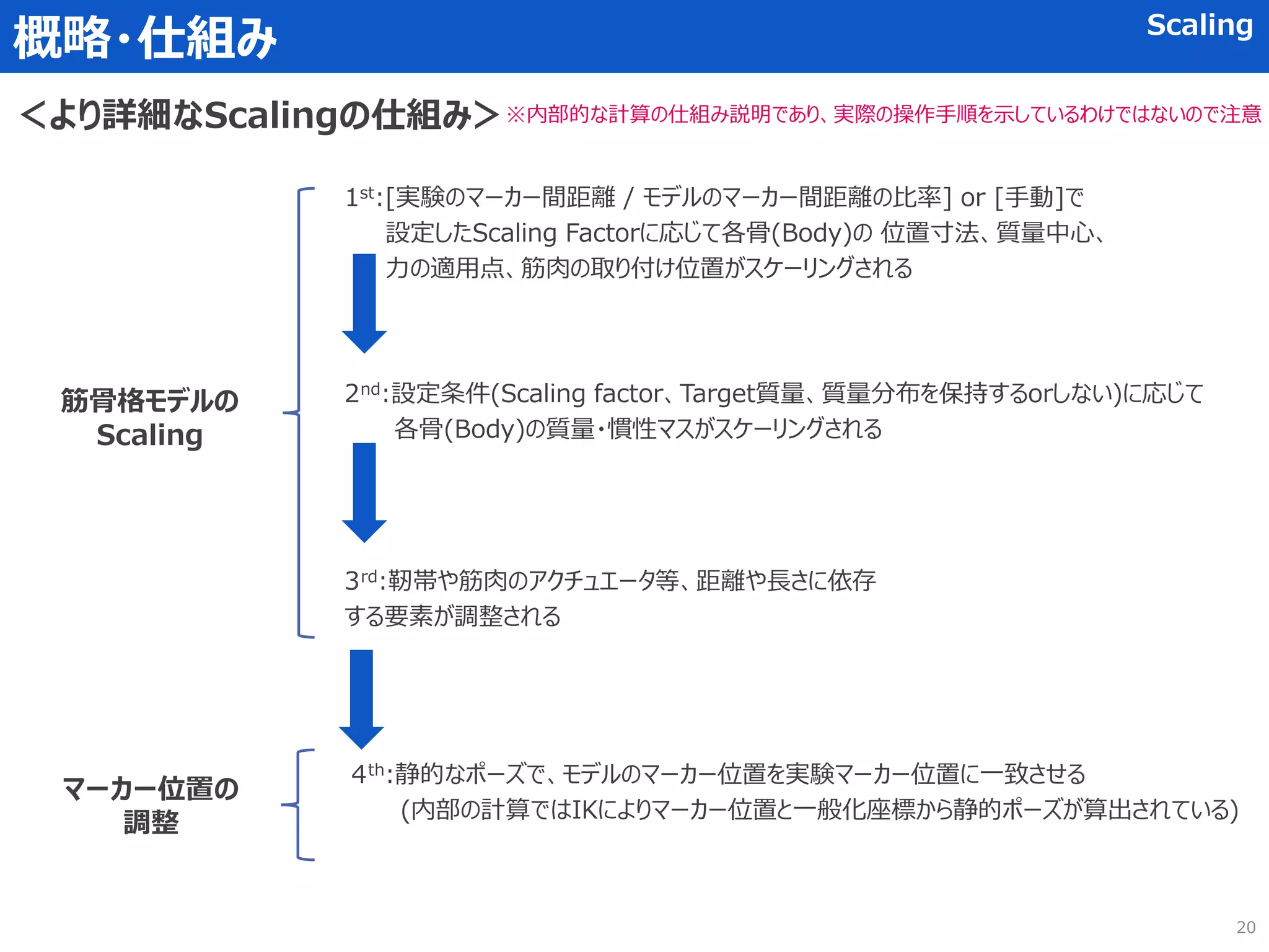 概略・仕組み Scaling
1st:[実験のマーカー間距離 / モデルのマーカー間距離の比率] or [手動]で
設定したScaling Factorに応じて各骨(Body)の 位置寸法、質量中心、
力の適用点、筋肉の取り付け位置がスケーリングされる
＜より詳細なScalingの仕組み＞
2nd:設定条件(Scaling factor、Target質量、質量分布を保持するorしない)に応じて
各骨(Body)の質量・慣性マスがスケーリングされる
3rd:靭帯や筋肉のアクチュエータ等、距離や長さに依存
する要素が調整される
4th:静的なポーズで、モデルのマーカー位置を実験マーカー位置に一致させる
(内部の計算ではIKによりマーカー位置と一般化座標から静的ポーズが算出されている)
※内部的な計算の仕組み説明であり、実際の操作手順を示しているわけではないので注意
筋骨格モデルの
Scaling
マーカー位置の
調整
20
 