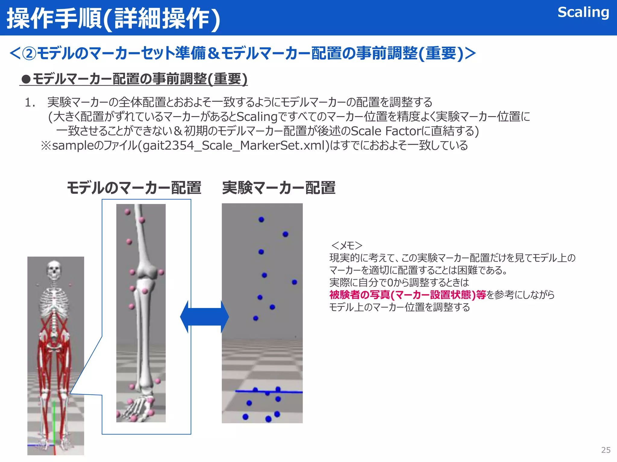 操作手順(詳細操作) Scaling
＜②モデルのマーカーセット準備＆モデルマーカー配置の事前調整(重要)＞
1. 実験マーカーの全体配置とおおよそ一致するようにモデルマーカーの配置を調整する
(大きく配置がずれているマーカーがあるとScalingですべてのマーカー位置を精度よく実験マーカー位置に
一致させることができない＆初期のモデルマーカー配置が後述のScale Factorに直結する)
※sampleのファイル(gait2354_Scale_MarkerSet.xml)はすでにおおよそ一致している
●モデルマーカー配置の事前調整(重要)
モデルのマーカー配置 実験マーカー配置
＜メモ＞
現実的に考えて、この実験マーカー配置だけを見てモデル上の
マーカーを適切に配置することは困難である。
実際に自分で0から調整するときは
被験者の写真(マーカー設置状態)等を参考にしながら
モデル上のマーカー位置を調整する
25
 