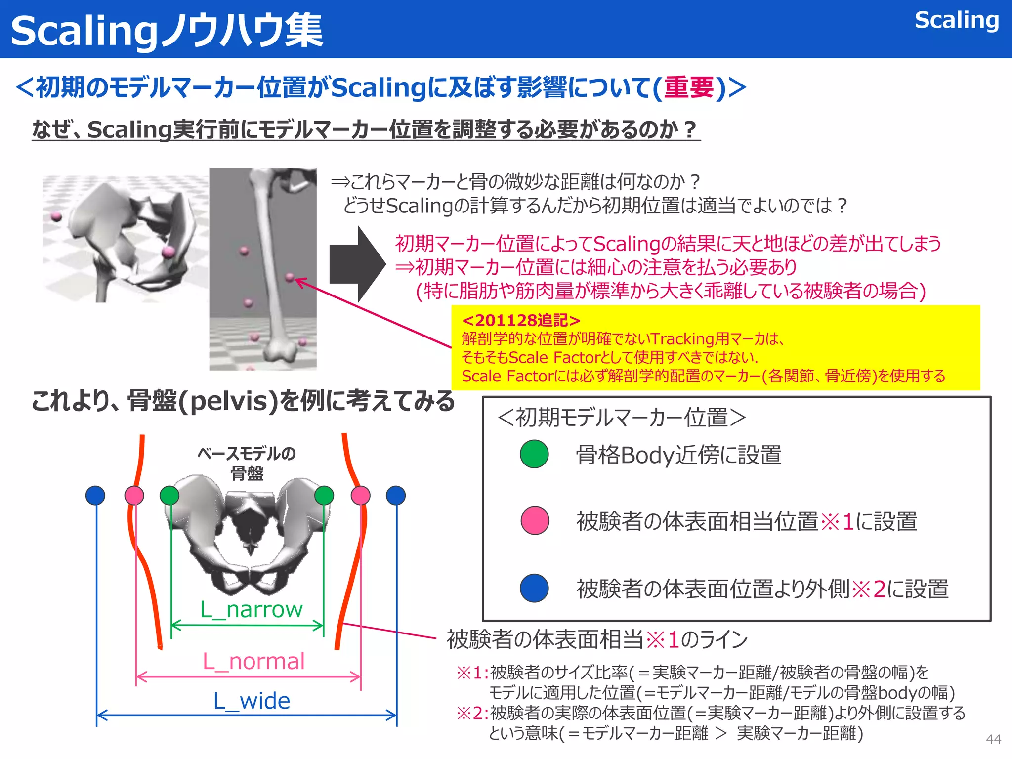 Scalingノウハウ集 Scaling
＜初期のモデルマーカー位置がScalingに及ぼす影響について(重要)＞
なぜ、Scaling実行前にモデルマーカー位置を調整する必要があるのか？
⇒これらマーカーと骨の微妙な距離は何なのか？
どうせScalingの計算するんだから初期位置は適当でよいのでは？
初期マーカー位置によってScalingの結果に天と地ほどの差が出てしまう
⇒初期マーカー位置には細心の注意を払う必要あり
(特に脂肪や筋肉量が標準から大きく乖離している被験者の場合)
これより、骨盤(pelvis)を例に考えてみる
被験者の体表面相当※1のライン
＜初期モデルマーカー位置＞
骨格Body近傍に設置
被験者の体表面相当位置※1に設置
被験者の体表面位置より外側※2に設置
L_wide
L_normal
L_narrow
※1:被験者のサイズ比率(＝実験マーカー距離/被験者の骨盤の幅)を
モデルに適用した位置(=モデルマーカー距離/モデルの骨盤bodyの幅)
※2:被験者の実際の体表面位置(=実験マーカー距離)より外側に設置する
という意味(＝モデルマーカー距離 ＞ 実験マーカー距離)
ベースモデルの
骨盤
44
<201128追記>
解剖学的な位置が明確でないTracking用マーカは、
そもそもScale Factorとして使用すべきではない.
Scale Factorには必ず解剖学的配置のマーカー(各関節、骨近傍)を使用する
 