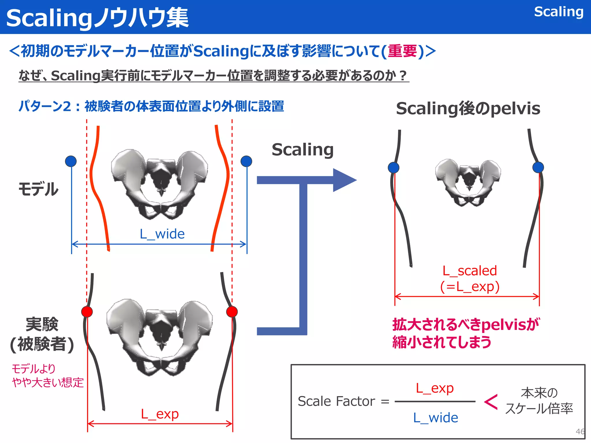 Scalingノウハウ集 Scaling
＜初期のモデルマーカー位置がScalingに及ぼす影響について(重要)＞
なぜ、Scaling実行前にモデルマーカー位置を調整する必要があるのか？
パターン2：被験者の体表面位置より外側に設置
モデル
実験
(被験者)
L_exp
Scaling
Scaling後のpelvis
L_scaled
(=L_exp)
L_wide
拡大されるべきpelvisが
縮小されてしまう
モデルより
やや大きい想定
Scale Factor =
L_wide
L_exp ＞ 本来の
スケール倍率
46
 