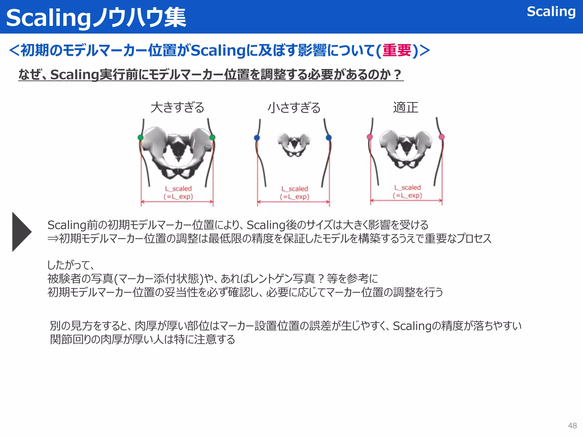 Scalingノウハウ集 Scaling
＜初期のモデルマーカー位置がScalingに及ぼす影響について(重要)＞
なぜ、Scaling実行前にモデルマーカー位置を調整する必要があるのか？
大きすぎる 小さすぎる 適正
Scaling前の初期モデルマーカー位置により、Scaling後のサイズは大きく影響を受ける
⇒初期モデルマーカー位置の調整は最低限の精度を保証したモデルを構築するうえで重要なプロセス
したがって、
被験者の写真(マーカー添付状態)や、あればレントゲン写真？等を参考に
初期モデルマーカー位置の妥当性を必ず確認し、必要に応じてマーカー位置の調整を行う
別の見方をすると、肉厚が厚い部位はマーカー設置位置の誤差が生じやすく、Scalingの精度が落ちやすい
関節回りの肉厚が厚い人は特に注意する
48
 