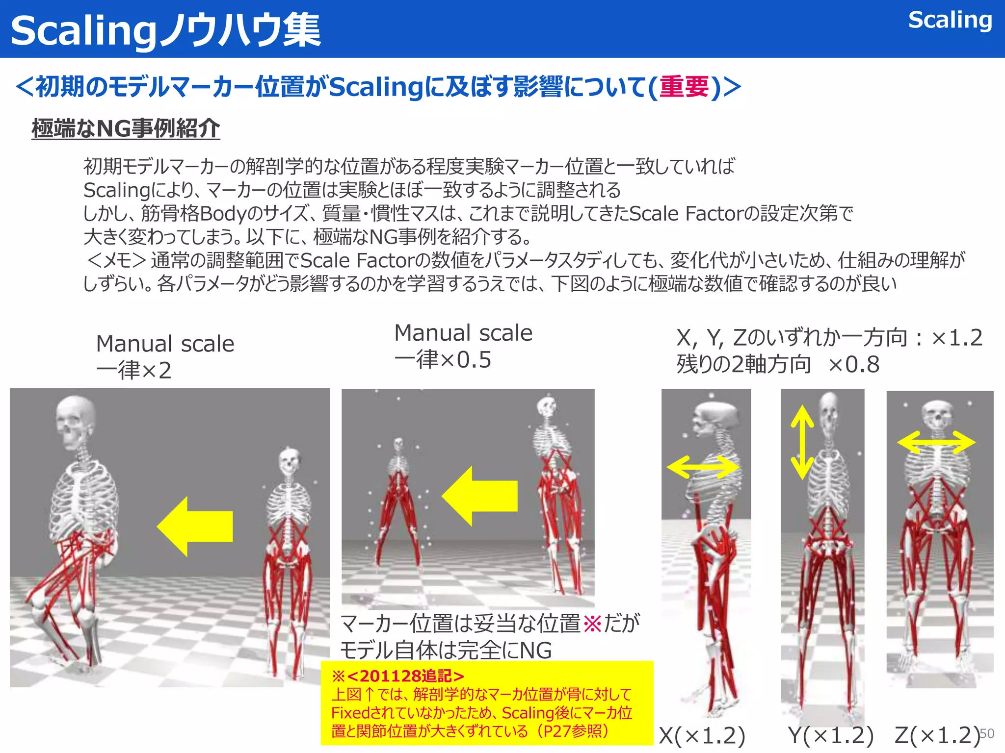 Scalingノウハウ集 Scaling
＜初期のモデルマーカー位置がScalingに及ぼす影響について(重要)＞
極端なNG事例紹介
初期モデルマーカーの解剖学的な位置がある程度実験マーカー位置と一致していれば
Scalingにより、マーカーの位置は実験とほぼ一致するように調整される
しかし、筋骨格Bodyのサイズ、質量・慣性マスは、これまで説明してきたScale Factorの設定次第で
大きく変わってしまう。以下に、極端なNG事例を紹介する。
＜メモ＞通常の調整範囲でScale Factorの数値をパラメータスタディしても、変化代が小さいため、仕組みの理解が
しずらい。各パラメータがどう影響するのかを学習するうえでは、下図のように極端な数値で確認するのが良い
Manual scale
一律×2
Manual scale
一律×0.5
マーカー位置は妥当な位置※だが
モデル自体は完全にNG
X, Y, Zのいずれか一方向：×1.2
残りの2軸方向 ×0.8
X(×1.2) Y(×1.2) Z(×1.2)50
※<201128追記>
上図↑では、解剖学的なマーカ位置が骨に対して
Fixedされていなかったため、Scaling後にマーカ位
置と関節位置が大きくずれている（P27参照）
 