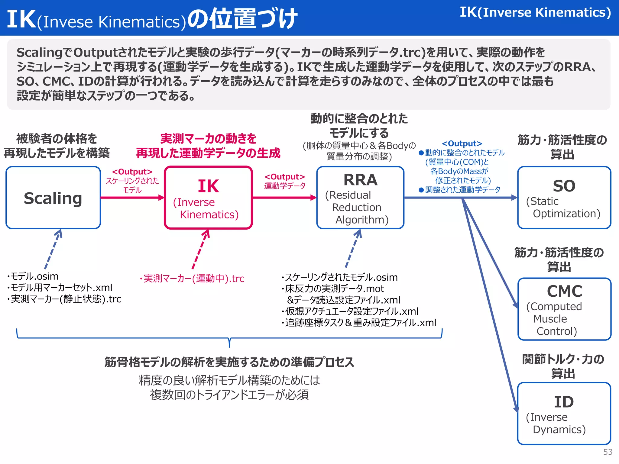 <Output>
スケーリングされた
モデル
IK(Invese Kinematics)の位置づけ IK(Inverse Kinematics)
Scaling
IK
(Inverse
Kinematics)
RRA
(Residual
Reduction
Algorithm)
CMC
(Computed
Muscle
Control)
SO
(Static
Optimization)
ID
(Inverse
Dynamics)
被験者の体格を
再現したモデルを構築
実測マーカの動きを
再現した運動学データの生成
<Output>
運動学データ
<Output>
●動的に整合のとれたモデル
(質量中心(COM)と
各BodyのMassが
修正されたモデル)
●調整された運動学データ
動的に整合のとれた
モデルにする
(胴体の質量中心＆各Bodyの
質量分布の調整)
筋力・筋活性度の
算出
筋力・筋活性度の
算出
関節トルク・力の
算出
ScalingでOutputされたモデルと実験の歩行データ(マーカーの時系列データ.trc)を用いて、実際の動作を
シミュレーション上で再現する(運動学データを生成する)。IKで生成した運動学データを使用して、次のステップのRRA、
SO、CMC、IDの計算が行われる。データを読み込んで計算を走らすのみなので、全体のプロセスの中では最も
設定が簡単なステップの一つである。
・モデル.osim
・モデル用マーカーセット.xml
・実測マーカー(静止状態).trc
・実測マーカー(運動中).trc
筋骨格モデルの解析を実施するための準備プロセス
精度の良い解析モデル構築のためには
複数回のトライアンドエラーが必須
・スケーリングされたモデル.osim
・床反力の実測データ.mot
&データ読込設定ファイル.xml
・仮想アクチュエータ設定ファイル.xml
・追跡座標タスク＆重み設定ファイル.xml
53
 