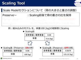 Biological Systems
Engineering lab.
Scale ModelˤĤƣǤδ󤭤ؤ{
Copyright? 2015 Biological Systems Engineering lab. All Rights Reserved. 10
Scaling Tool
Preserve ScalingǰǹǤؤαȤ򱣳
Marker data ɤ.trcե루ֹ״BƊX
Average .trcΤɤΕrgƽǩ`ʹ
? Scalingǰ
? ScalingᣨPreserve~ ONΕr ? ScalingᣨPreserve~ OFFΕr
MzߤΥǥ 100 [kg]αYߤScaling
 /  0.08
 72.6 [kg]
 /  0.08
 100 [kg]
 /  0.0679
 125.22 [kg]
 
