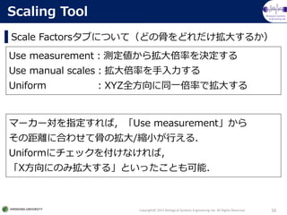 Biological Systems
Engineering lab.
Copyright? 2015 Biological Systems Engineering lab. All Rights Reserved. 16
Scaling Tool
ީ``ָУUse measurement
ξx˺Ϥ碌ƹǤΒ/sСФ룮
Uniform˥å򸶤ʤУ
XˤΤߒ󤹤롹ȤäȤܣ
Scale Factors֤ˤĤƣɤιǤɤ󤹤뤫
Use measurementy针ʤQ
Use manual scalesʤ
Uniform XYZȫͬһʤǒ󤹤
 