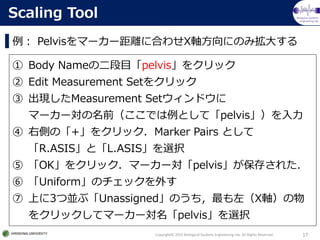 Biological Systems
Engineering lab.
 Pelvisީ``x˺Ϥ碌XSˤΤߒ󤹤
Copyright? 2015 Biological Systems Engineering lab. All Rights Reserved. 17
Scaling Tool
 Body NameζĿpelvis򥯥å
 Edit Measurement Set򥯥å
 FMeasurement Setɥ
ީ``ǰǤȤơpelvis
 ҂ȤΡ+򥯥åMarker Pairs Ȥ
R.ASISȡL.ASISxk
 OK򥯥åީ``pelvis椵줿
 UniformΥå⤹
 Ϥ3āK֡UnassignedΤXS
򥯥åƥީ``pelvisxk
 
