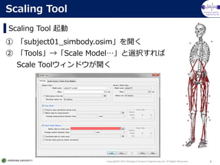 Biological Systems
Engineering lab.
Scaling Tool 
Copyright? 2015 Biological Systems Engineering lab. All Rights Reserved. 6
Scaling Tool
 subject01_simbody.osim_
 ToolsScale Modelxk
Scale Toolɥ_
 