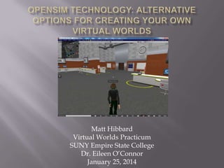 Matt Hibbard
Virtual Worlds Practicum
SUNY Empire State College
Dr. Eileen O’Connor
January 25, 2014

 