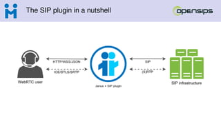 The SIP plugin in a nutshell
 