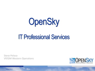 OpenSky
             IT Professional Services

Steve Peloso
VP/GM Western Operations


 3/26/2012                              1
 