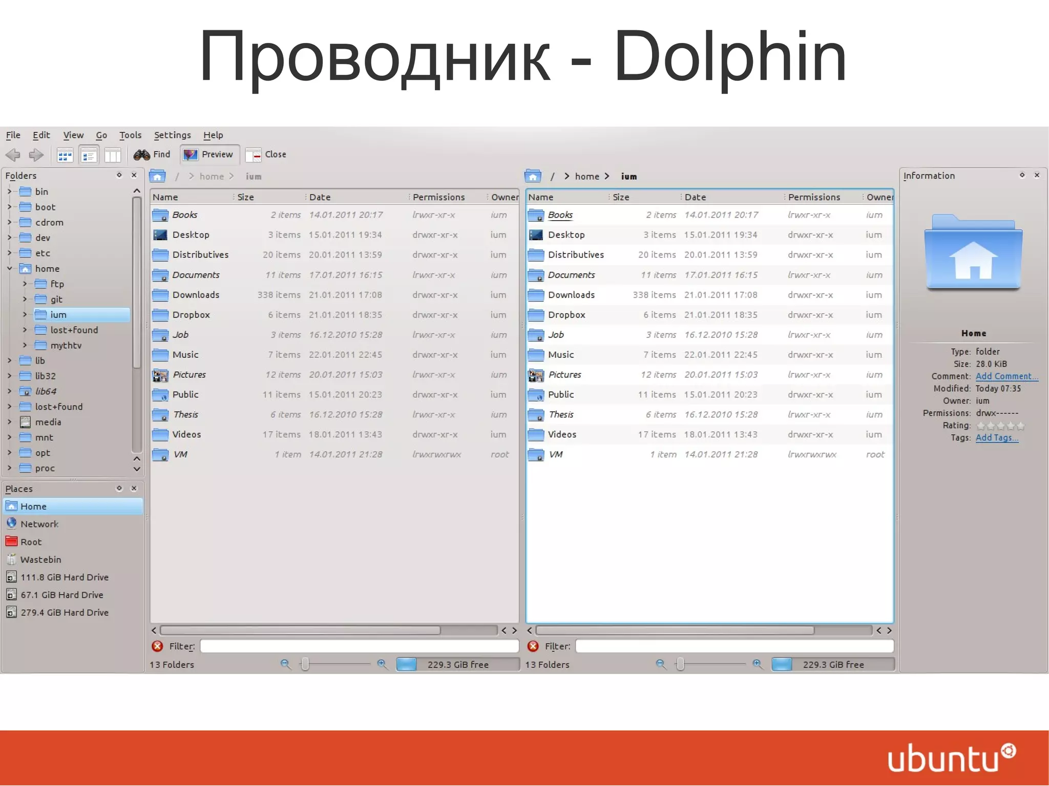 Проводник - Dolphin